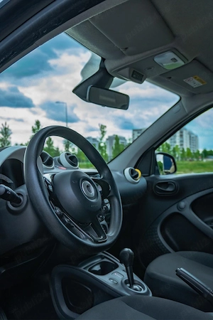 Vand Smart EQ forfour  - imagine 3