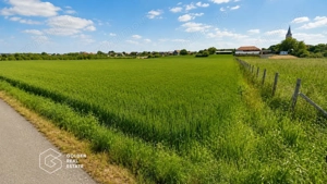 Teren intravilan, 5300 mp, Localitatea Vladimirescu, comision 0% - imagine 2