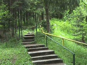 Vila la Predeal, în mijlocul naturii și într-o oază de liniște  - imagine 2