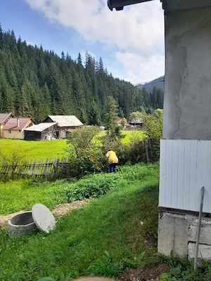 teren intravilan in munti capul corbul harghita  - imagine 10