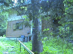 Vila la Predeal, în mijlocul naturii și într-o oază de liniște  - imagine 5