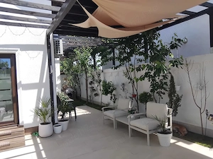 Ofer spre inchiriere casa Navodari zona vile - imagine 2