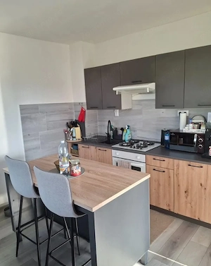 Apartament de inchiriat cu 2 camere zona Faget - imagine 4