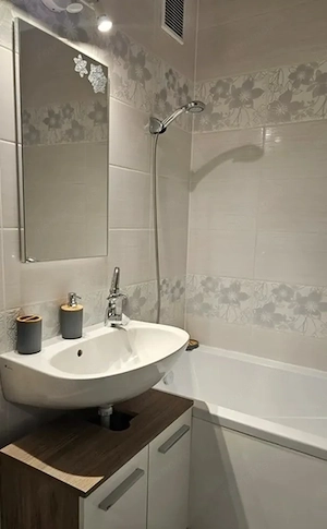 Apartamnet 2 camere de inchiriat zona Coresi - imagine 5