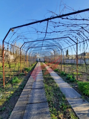 Casa de vanzare/Balcesti/Valcea/Str Pietii - imagine 7