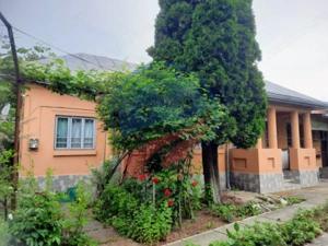 Casa de vanzare/Balcesti/Valcea/Str Pietii - imagine 18