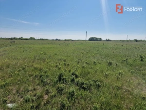 Teren de 5000 mp de vanzare in Mosnita Veche - imagine 2