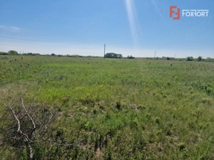 Teren de 5000 mp de vanzare in Mosnita Veche - imagine 3