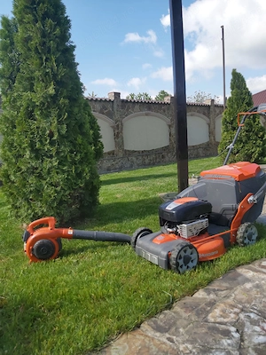 Angajez băieți serios harnici pentru spati verzi 