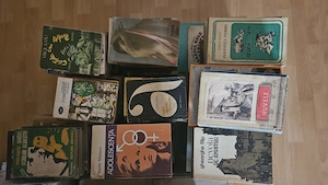 Lot 200 Cărți Diverse   Literatură, Istorie, Ghiduri & Cărți Vechi