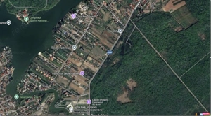 9.000 mp pe malul Lacului Snagov – un loc pentru visuri mari - imagine 3