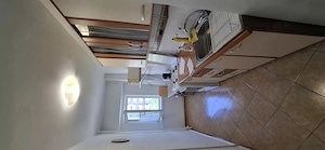 Inchiriez apartament 1 camera, 42mp, Calea Manastur - imagine 4