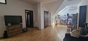 Apartament de vânzare in vilă, lângă supermarket Lidl, Moșnița Nouă -Buziașului.  - imagine 11