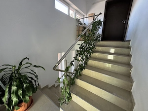 Apartament in vila,Moșnița Nouă  -Buziașului, lângă supermarket Lidl.  - imagine 20