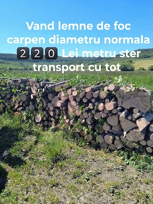 Vand lemne de foc carpen transport la domiciliu 