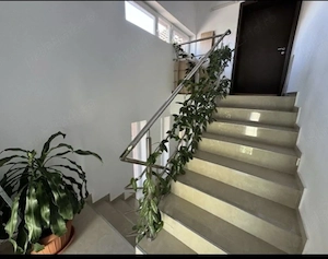 Apartament de vânzare in vilă, lângă supermarket Lidl, Moșnița Nouă -Buziașului.  - imagine 4