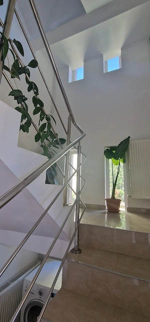 Apartament de vânzare in vilă, lângă supermarket Lidl, Moșnița Nouă -Buziașului.  - imagine 17