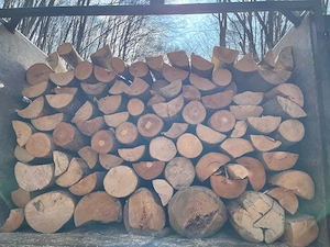 lemne de foc 