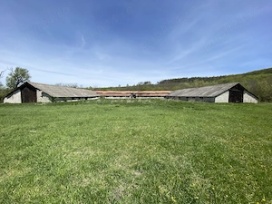 DE VANZARE- Saivan ovine -Homorod, jud. Brasov