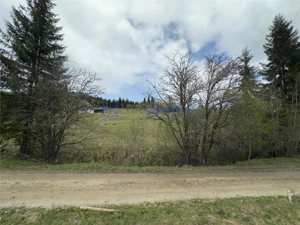 Teren parcele Saru Dornei, Neagra Sarului, de la 1000mp la 30.000mp - imagine 12