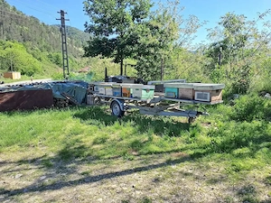 Vând remorcă apicolă