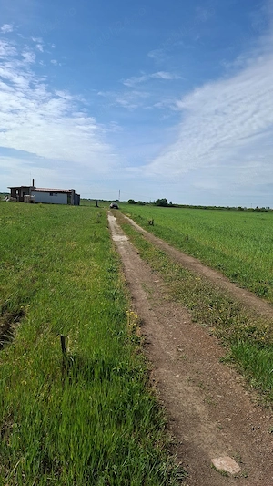 De vanzare parcela teren constructie casa, localitatea Mosnita Veche
