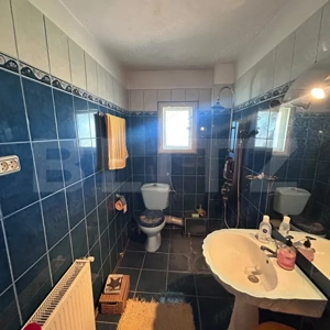 Proprietate 160 mp utili, 1.046 mp teren, centrul din Moșnița Veche - imagine 14