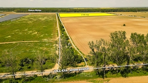 Teren intravilan 5700 mp Răcari lângă Pădurea Măriuța - oportunitate investiție - imagine 3