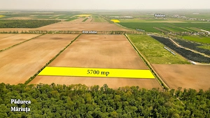 Teren intravilan 5700 mp Răcari lângă Pădurea Măriuța - oportunitate investiție - imagine 2