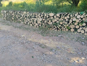Vand lemne de foc carpen 2  2  0   lei metru stern 