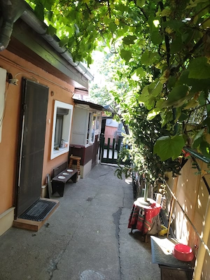 CASA + TEREN - Viilor Parc Carol    