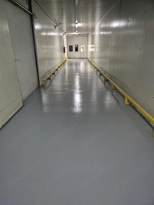 Depozit frig congelate Constanta Ovidiu