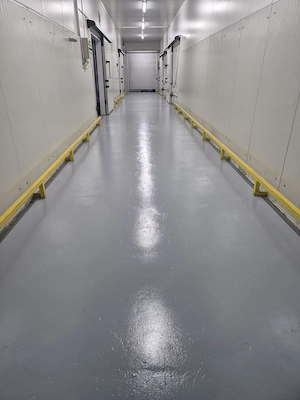 Depozit frig congelate Constanta Ovidiu - imagine 3