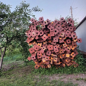 popi de inchiriat sau de vanzare