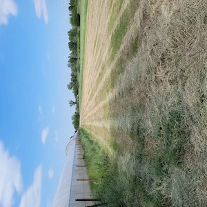 Vand teren intravilan Osorhei sat Fughiu, 20 euro mp, 4332 mp, 8 km de Oradea - imagine 4