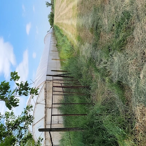 Vand teren intravilan Osorhei sat Fughiu, 20 euro mp, 4332 mp, 8 km de Oradea - imagine 3