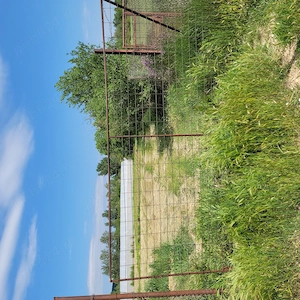 Vand teren intravilan Osorhei sat Fughiu, 20 euro mp, 4332 mp, 8 km de Oradea - imagine 2