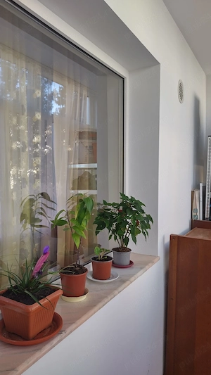 Apartament 2 camere,  etaj. 1,  Gojdu 