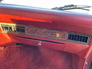 Vand Ford Thunderbird - imagine 3