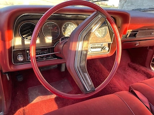 Vand Ford Thunderbird - imagine 2
