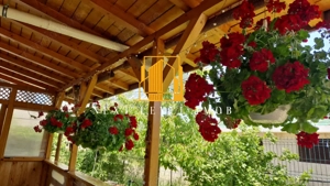  Casă modernă P+M de vânzare în Bascov – Lăbușești - imagine 14