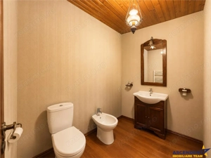 Casa solida,farmec autentic,echipata,garaj incalzit,pod,curte relaxanta,Santana de Mure - imagine 11