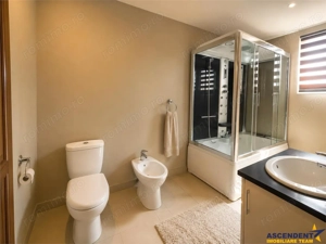 Casa solida,farmec autentic,echipata,garaj incalzit,pod,curte relaxanta,Santana de Mure - imagine 7