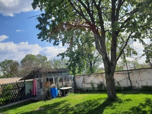Casă langa Fagaras cu teren de 1836mp si parau in spatele curtii - imagine 8