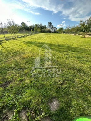 Casa de vacanta cu. teren 31.300  Nadas, 38 km de Timisoara. - imagine 5