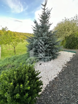 Casa de vacanta cu. teren 31.300  Nadas, 38 km de Timisoara. - imagine 10