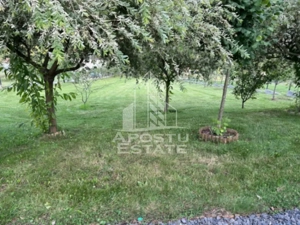 Casa de vacanta cu. teren 31.300  Nadas, 38 km de Timisoara. - imagine 9