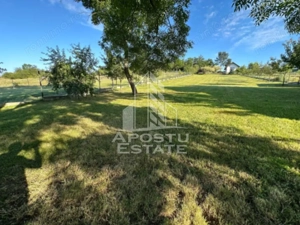 Casa de vacanta cu. teren 31.300  Nadas, 38 km de Timisoara. - imagine 11