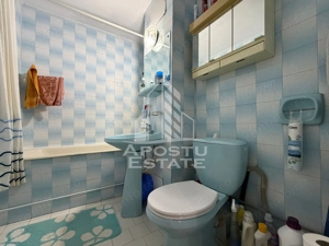 Apartament cu 3 camere, garaj, de vanzare, zona Plavat I I,Timisoara - imagine 11