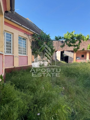 Casă de cărămidă în Sustra ,Topolovatul Mare cu teren de 1522 mp. - imagine 13